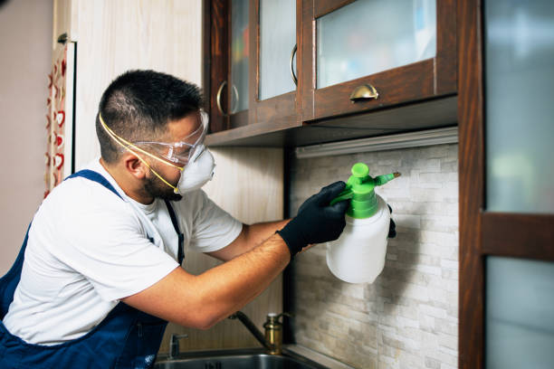 Best Wasp Removal Services  in Norwalk, OH