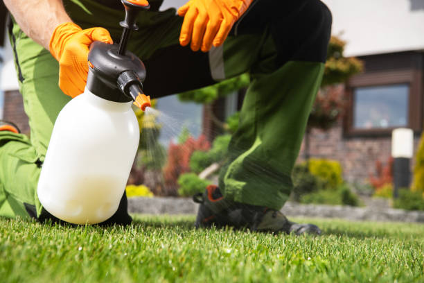 Best Spider Control Near Me  in Norwalk, OH