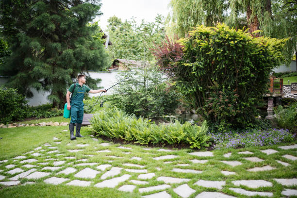 Best Pest Inspection Near Me  in Norwalk, OH