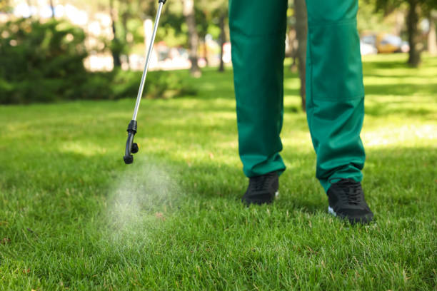 Pest Control for Restaurants in Norwalk, OH