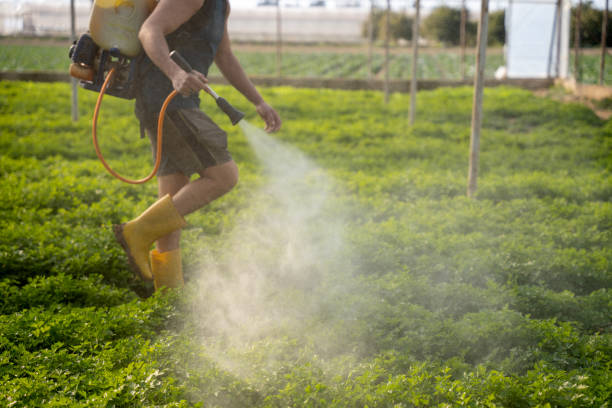 Best Commercial Pest Control Services  in Norwalk, OH
