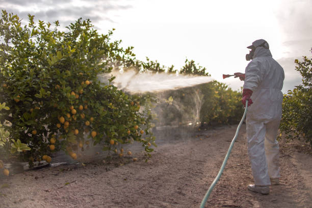 Best Pest Control Near Me  in Norwalk, OH