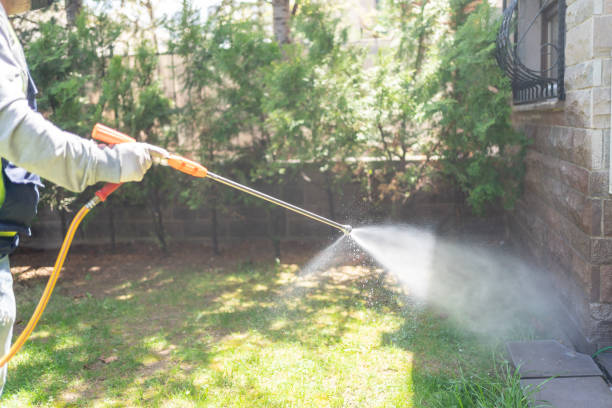 Spider Control Near Me in Norwalk, OH