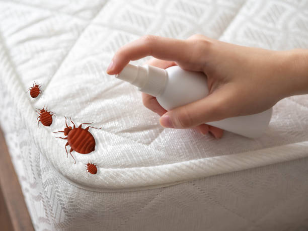 Best Affordable Pest Control Services  in Norwalk, OH