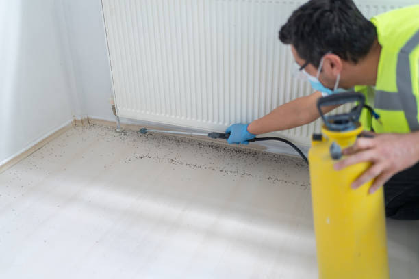 Best Affordable Pest Control Services  in Norwalk, OH